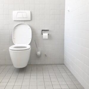 Toiletrens & Toiletpapir
